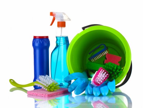Professional stain removal for carpets and upholstery in an E1 home