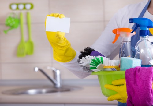 Professional pet stain and odour removal for carpets in an E1 home