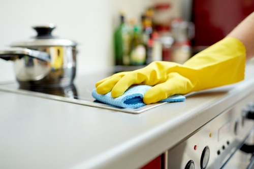 Thorough oven degreasing and door cleaning for a property in E1