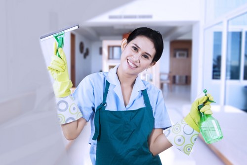 Local cleaner handling office windows in E1